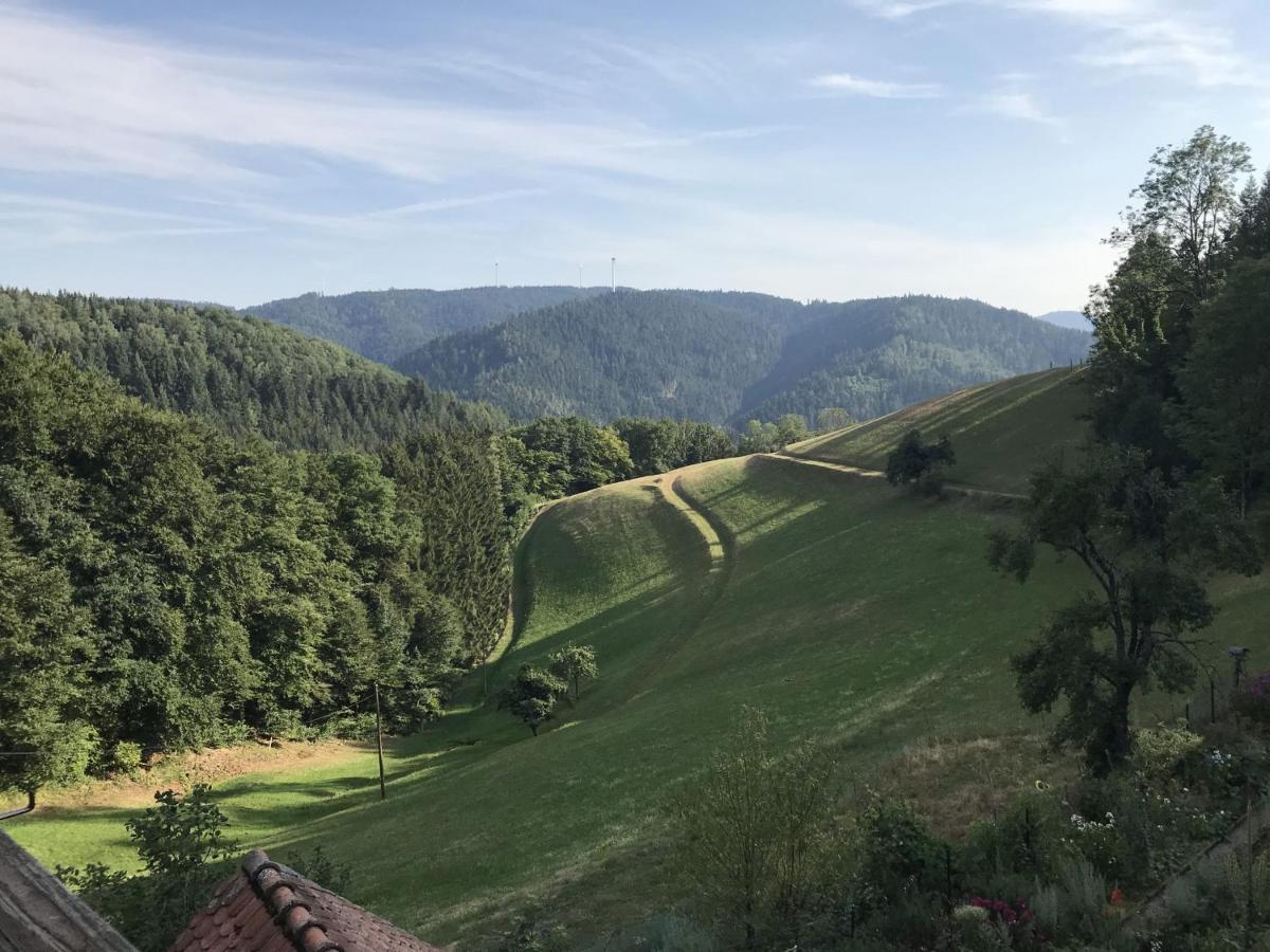 Morgethof Apartment Wolfach Luaran gambar